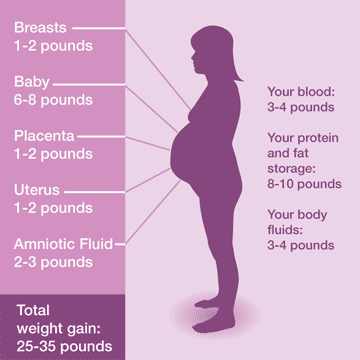 Safe Weight Gain in Pregnancy